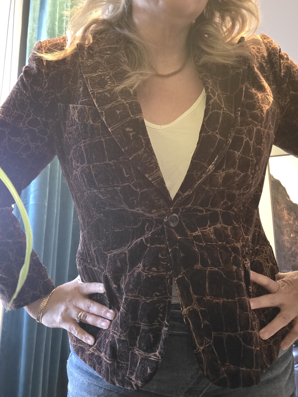 Brown Velvet Textured Single-Button Blazer